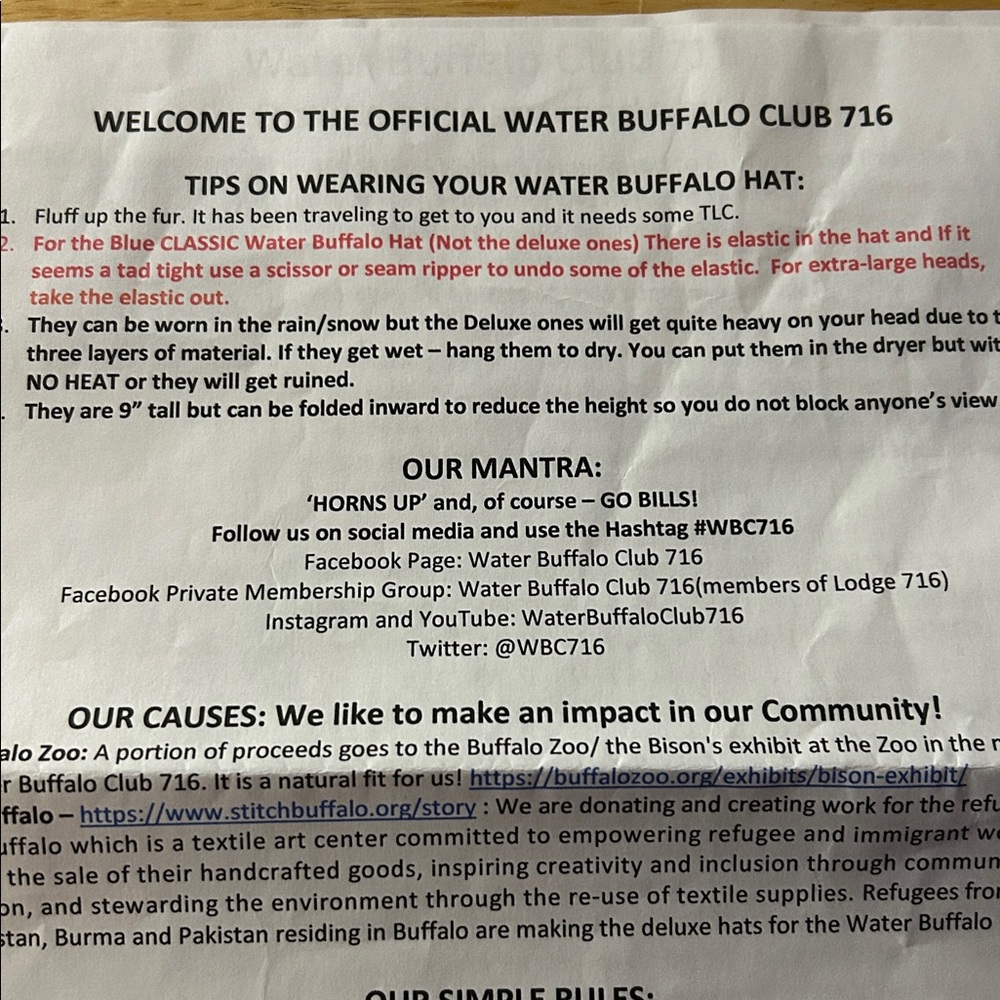 Water Buffalo Club Hat 🦬 - Picture 16 of 16